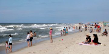 Un tiburón hambriento ahuyentó a los bañistas de una playa de Florida al nadar cerca de la orilla