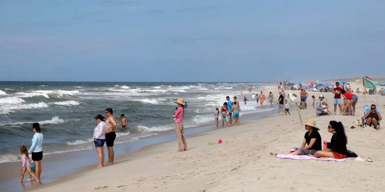 Un tiburón hambriento ahuyentó a los bañistas de una playa de Florida al nadar cerca de la orilla