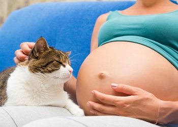 Toxoplasmosis