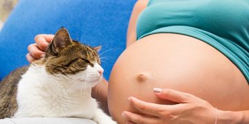 Toxoplasmosis