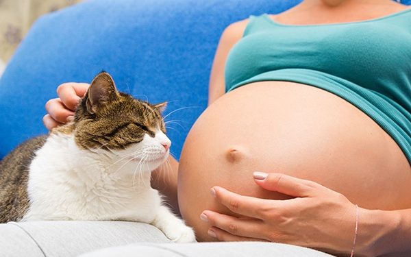 Toxoplasmosis