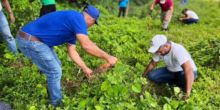 Exitosa Jornada de Reforestación en Jamao al Norte