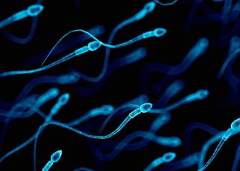 ¿Eres hombre y has pasado Covid? Así afecta a la calidad de tu semen