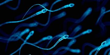 ¿Eres hombre y has pasado Covid? Así afecta a la calidad de tu semen