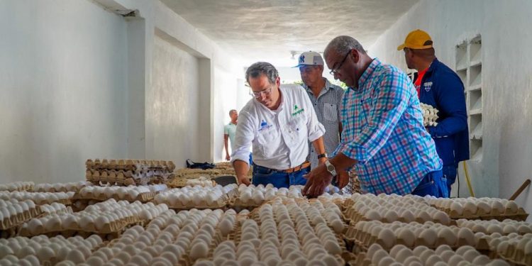 Inespre inicia compra de pollos y huevos a productores de Dajabón afectados por el cierre de la frontera