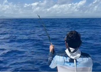 Jornada final definirá ganador de la Copa Rotativa al Marlin Azul del Club Náutico de Santo Domingo