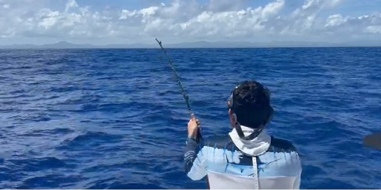 Jornada final definirá ganador de la Copa Rotativa al Marlin Azul del Club Náutico de Santo Domingo