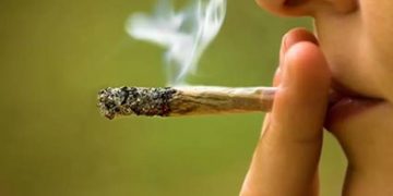 Uno de cada 5 usuarios de marihuana sufre dependencia de la droga