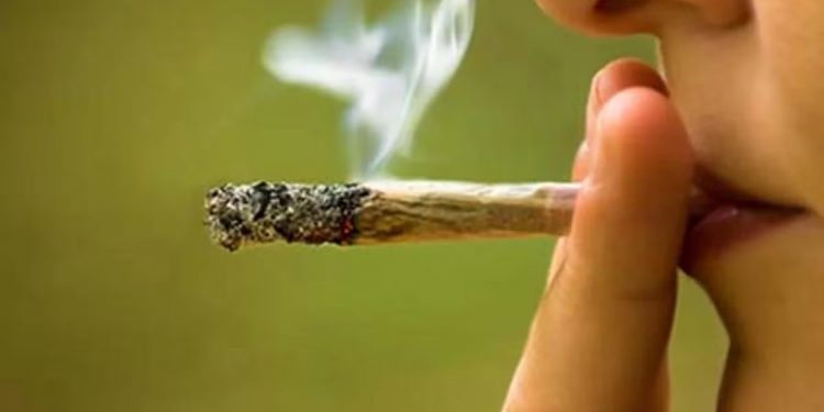 Uno de cada 5 usuarios de marihuana sufre dependencia de la droga