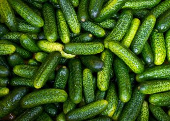 Pepinillo: un aliado antikilos que quizás estás infravalorando