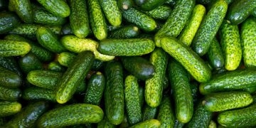Pepinillo: un aliado antikilos que quizás estás infravalorando