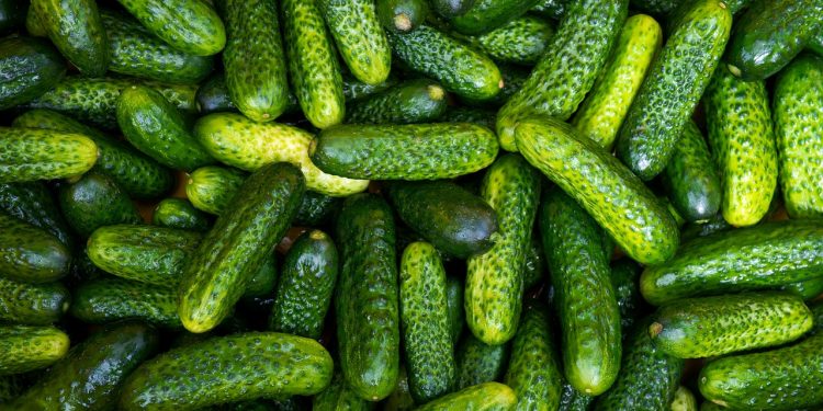Pepinillo: un aliado antikilos que quizás estás infravalorando