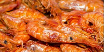 Por qué no debes chupar las cabezas de las gambas y langostinos