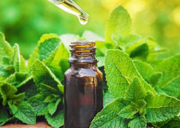 Aceite de menta: ¿realmente funciona para evitar la caída del cabello en otoño?