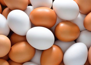 Descubre cuánta proteína tiene un huevo y si es mejor que la de la carne