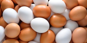 Descubre cuánta proteína tiene un huevo y si es mejor que la de la carne