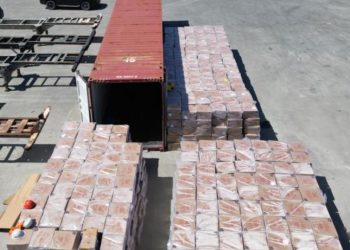 DGA detiene contrabando millonario de cigarrillos en dos contenedores