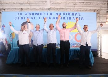 Partido Dominicanos por el Cambio elige Abinader como su candidato a la presidencia