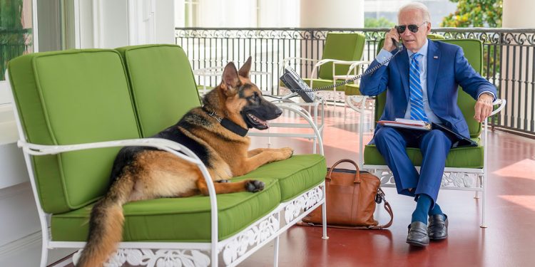 El perro de Biden atacó el personal de la Casa Blanca