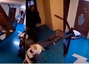 Hombre asesina a tiros a un vecino y a su hijo durante una discusión Nueva York