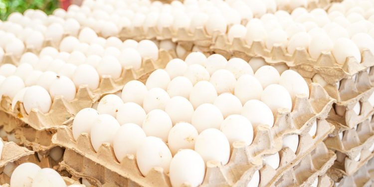 Gobierno dispone venta de cartones de huevos a 100 pesos este jueves en 76 supermercados a nivel nacional