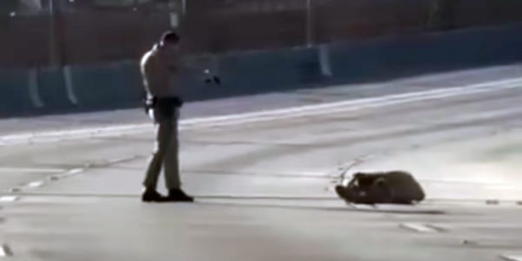 Una nueva muerte a manos de la policía en Los Ángeles reabre el debate sobre la brutalidad policial