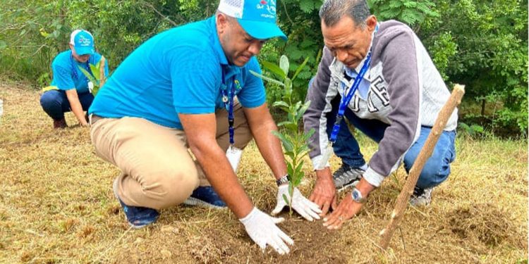 Edenorte reforesta área protegida en Jardín Botánico Dr. Eugenio de Jesús Marcano 