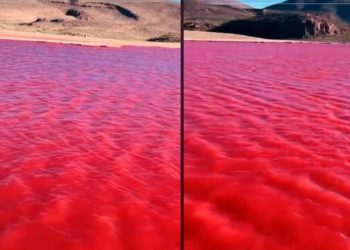 Por las que el río Nilo se tiñó de rojo y asombró a todo el mundo