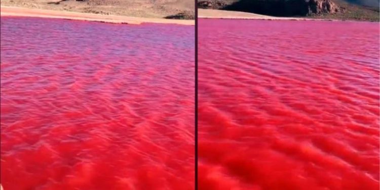 Por las que el río Nilo se tiñó de rojo y asombró a todo el mundo