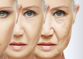 ¿Has envejecido pronto? Cómo averiguar la edad de tus órganos