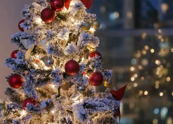 Árbol navideño gigante cae en pleno parque y provoca una tragedia
