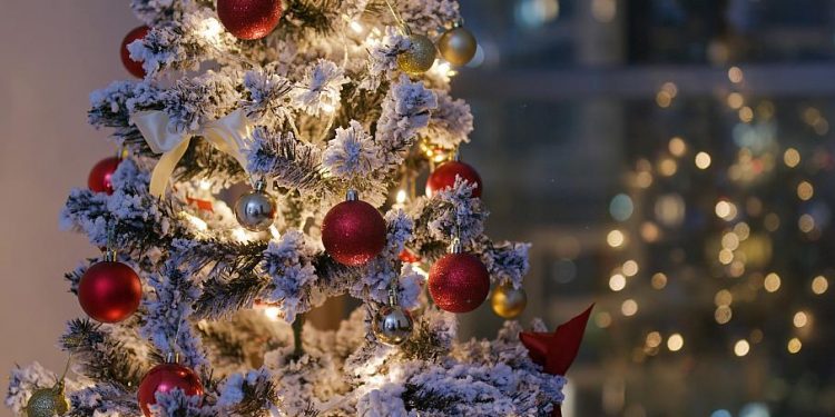 Árbol navideño gigante cae en pleno parque y provoca una tragedia