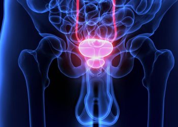 Avance en cáncer de vejiga: nanorrobots que administran el tratamiento