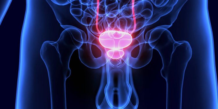 Avance en cáncer de vejiga: nanorrobots que administran el tratamiento