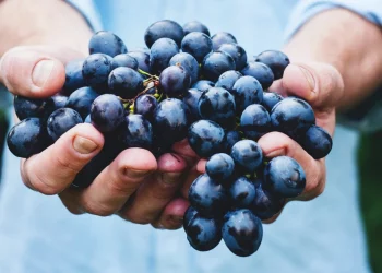 No te comas las uvas, úsalas para cuidar tu piel