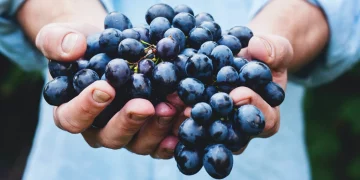 No te comas las uvas, úsalas para cuidar tu piel