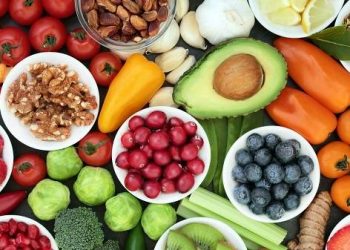 Una dieta rica en ácidos grasos de cadena corta mejora la supervivencia en mieloma múltiple, según un estudio español