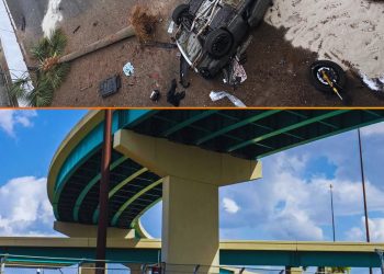 Un automovilista murió tras caer de un puente en la pista del Gran Premio de Miami