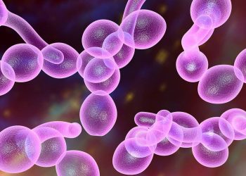 Candidiasis: cómo hacerle frente mediante la dieta