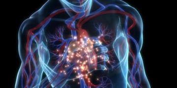 ¿Por qué los infartos en medio del tráfico se han vuelto un fenómeno constante?