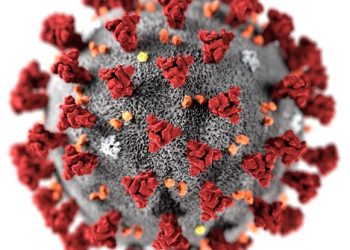 CDC recomienda personas con Covid-19 aislarse solo por 5 días