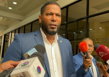 Presidente de la Comisión de MIP denuncia «Destrucción de la Loma del Puerto en Jarabacoa»