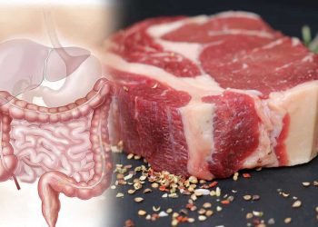 Especialista cita la carne roja como factor de riesgo para el cáncer colorrectal