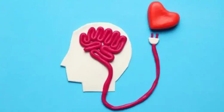 Así funciona un cerebro enamorado, según una experta en Neurología
