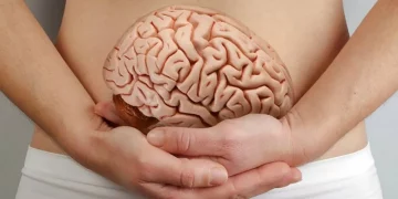 Microbiota intestinal e inteligencia, ¿cuál es la relación?