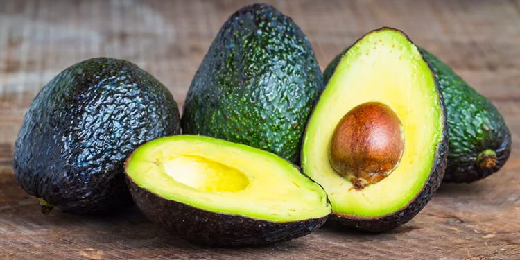 9 razones por las que la palta o aguacate es un superalimento que no puede faltar en tu dieta