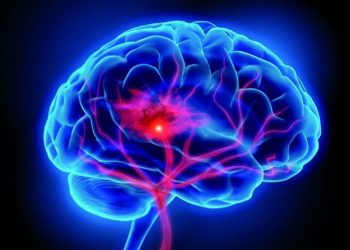 ¿Qué ocurre en el cerebro para que el estrés dé paso al miedo?