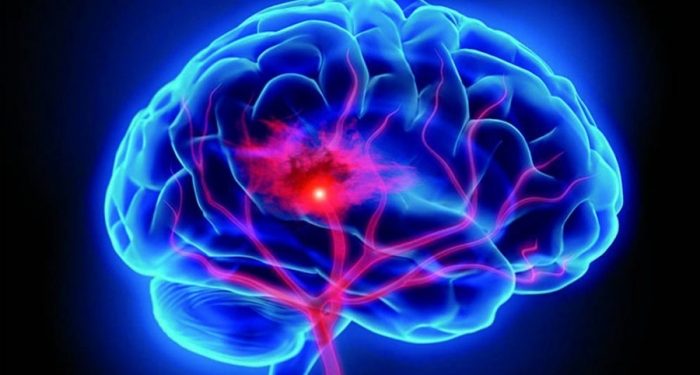 ¿Qué ocurre en el cerebro para que el estrés dé paso al miedo?