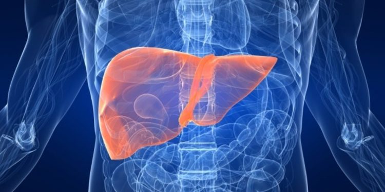 Hígado graso: cómo detectar a tiempo la patología hepática más frecuente