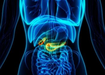 Estos son los factores de riesgo del cáncer de páncreas, según Harvard